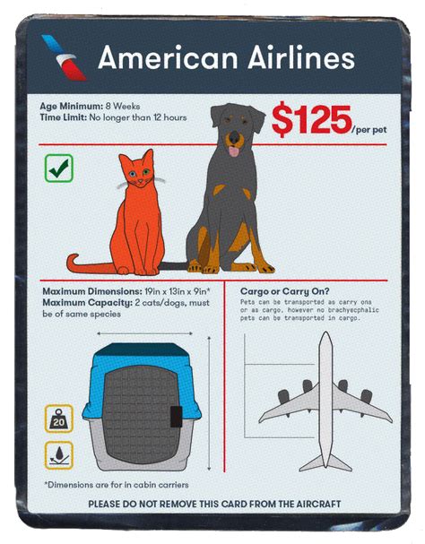 airlines pet travel policy